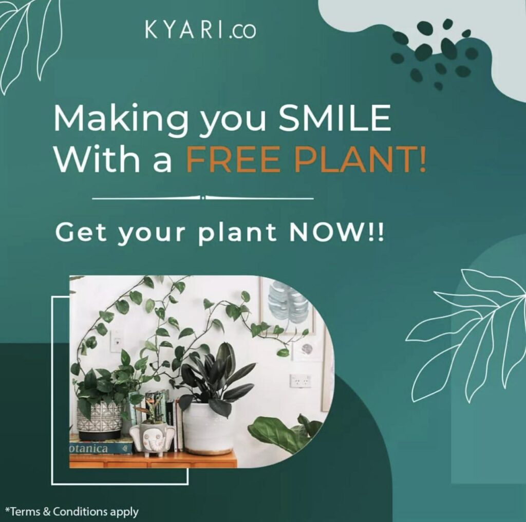 Kyari Free Plants